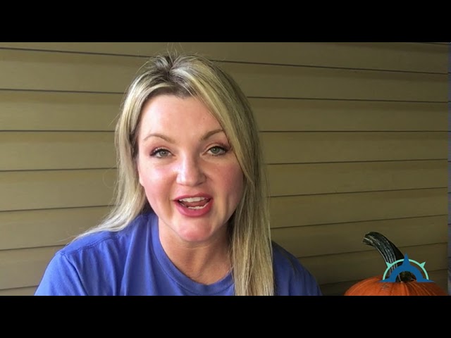 Wellness Wednesday | Gratefulness | 10/6/20